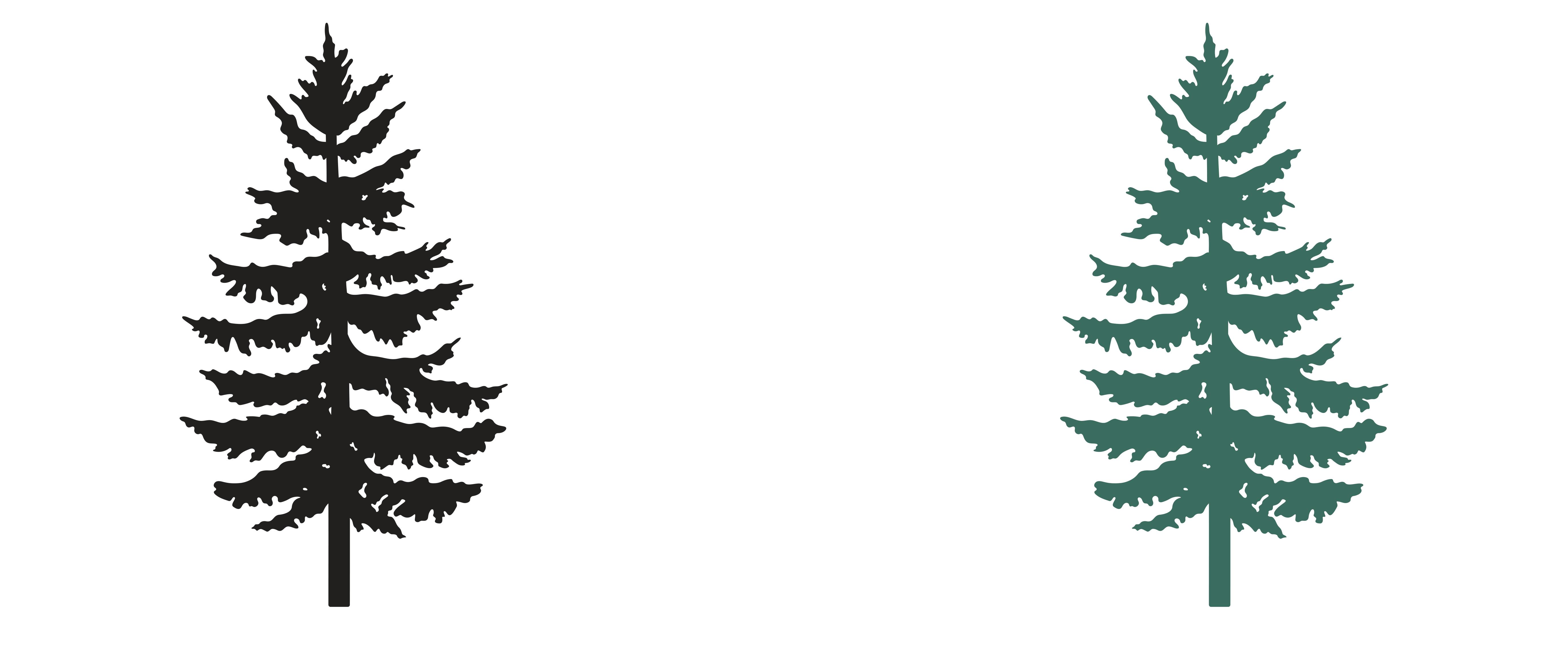 Graphics of two Western Red Cedars, one black, one green